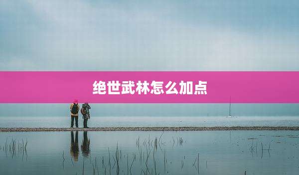 绝世武林怎么加点