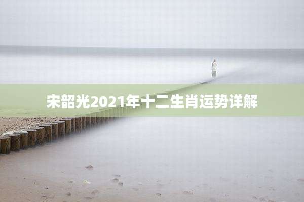 宋韶光2021年十二生肖运势详解