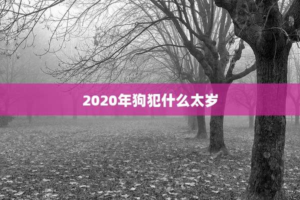 2020年狗犯什么太岁