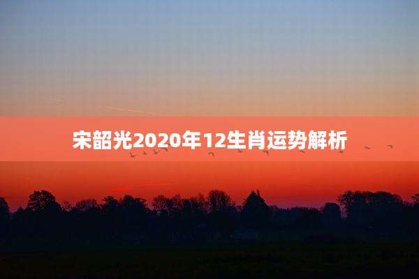 宋韶光2020年12生肖运势解析