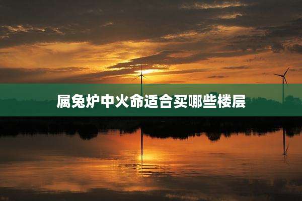 属兔炉中火命适合买哪些楼层