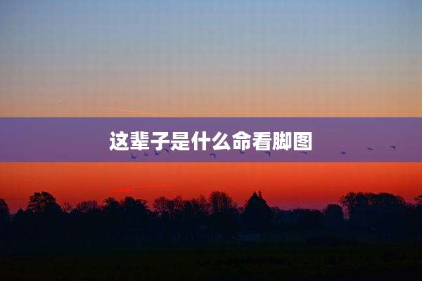 这辈子是什么命看脚图