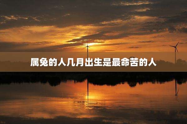 属兔的人几月出生是最命苦的人