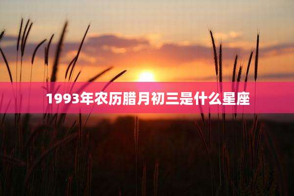 1993年农历腊月初三是什么星座