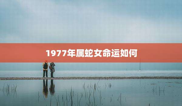 1977年属蛇女命运如何