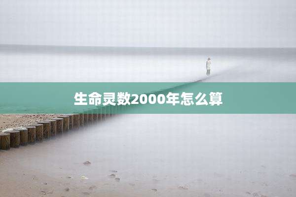 生命灵数2000年怎么算
