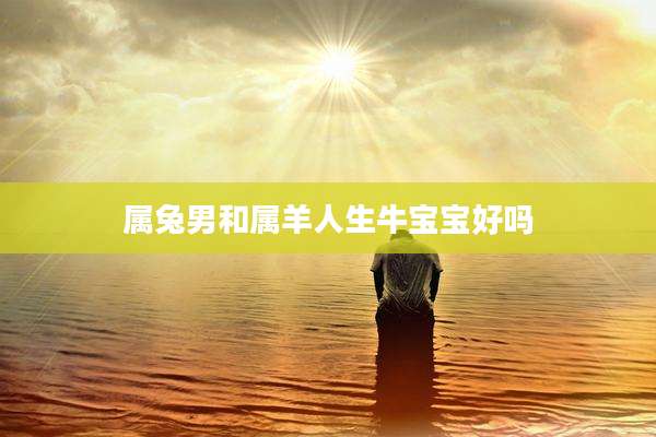 属兔男和属羊人生牛宝宝好吗