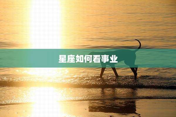 星座如何看事业