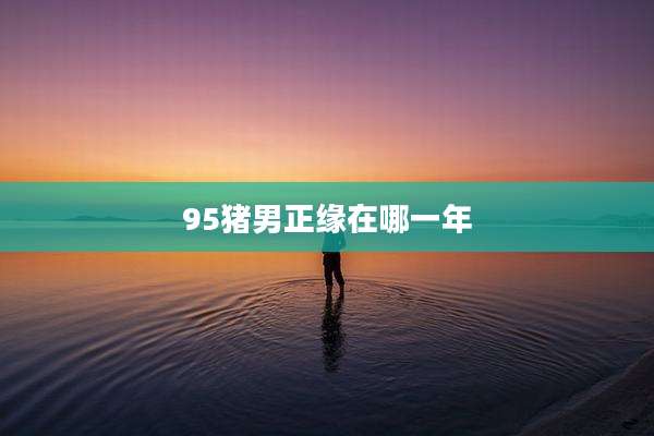 95猪男正缘在哪一年
