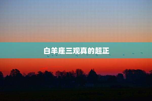 白羊座三观真的超正