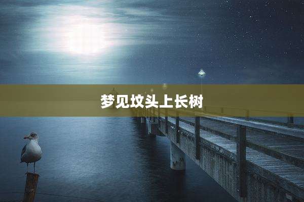 梦见坟头上长树