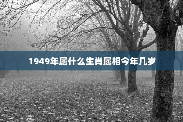 1949年属什么生肖属相今年几岁