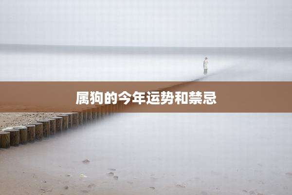 属狗的今年运势和禁忌