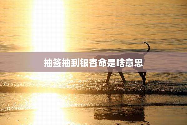 抽签抽到银杏命是啥意思