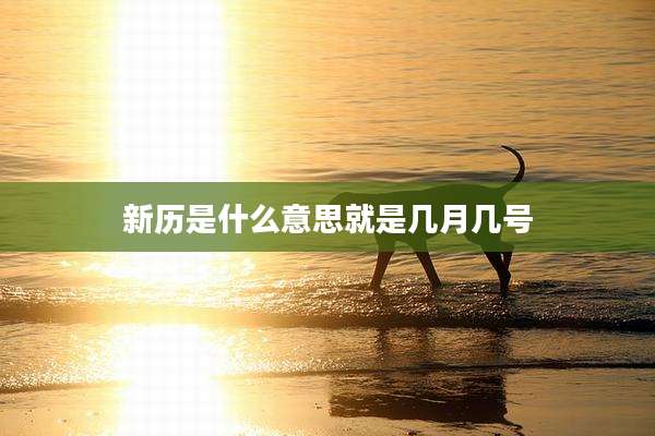 新历是什么意思就是几月几号