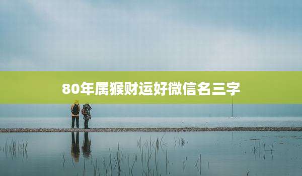 80年属猴财运好微信名三字