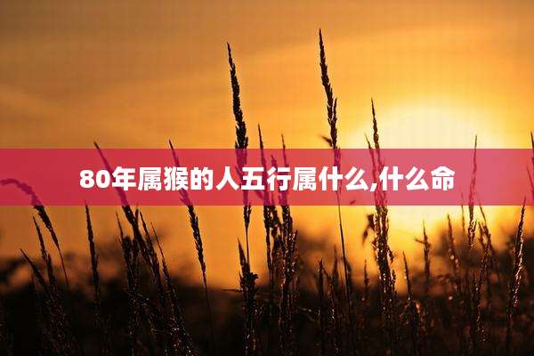 80年属猴的人五行属什么,什么命