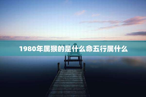 1980年属猴的是什么命五行属什么