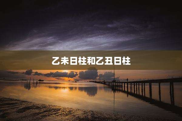 乙未日柱和乙丑日柱