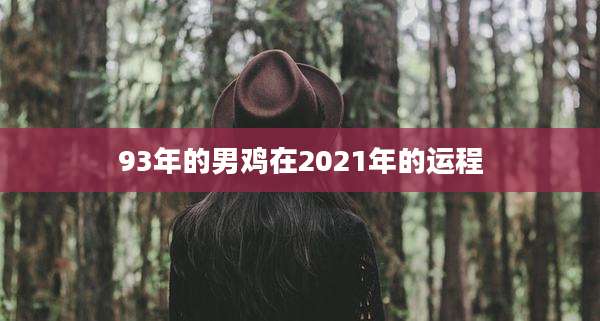 93年的男鸡在2021年的运程