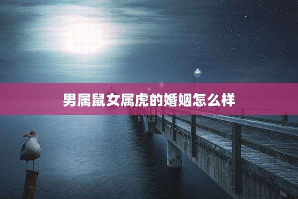 男属鼠女属虎的婚姻怎么样