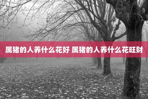 属猪的人养什么花好 属猪的人养什么花旺财