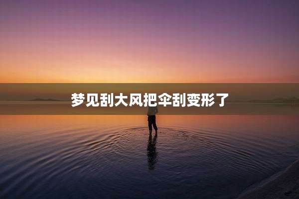 梦见刮大风把伞刮变形了