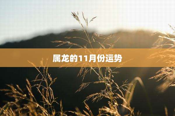 属龙的11月份运势