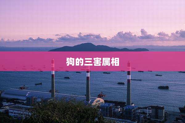 狗的三害属相