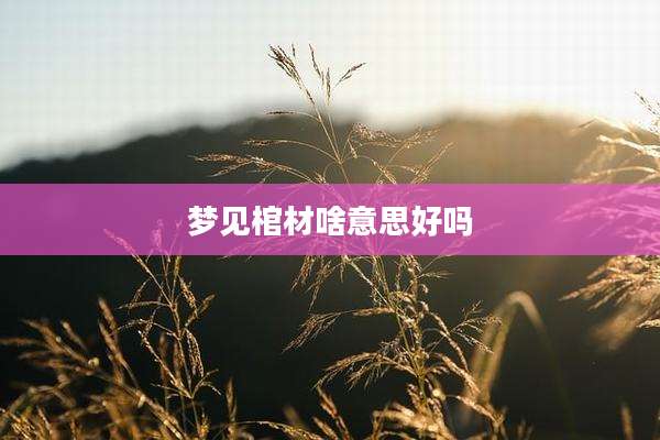 梦见棺材啥意思好吗