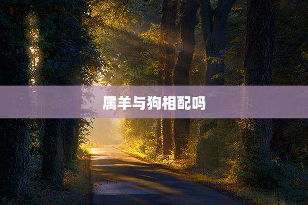 属羊与狗相配吗