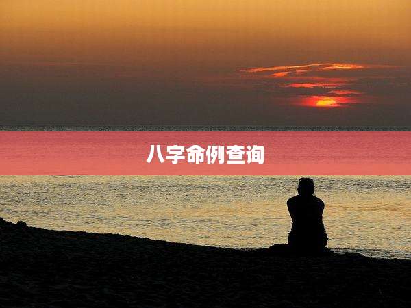 八字命例查询