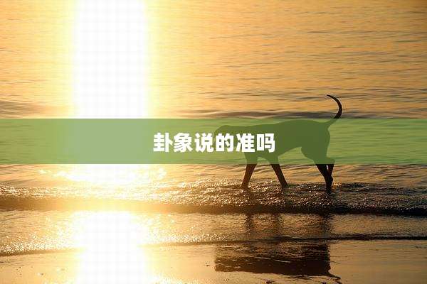 卦象说的准吗