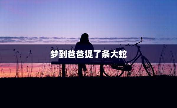 梦到爸爸捉了条大蛇