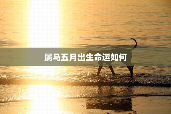 属马五月出生命运如何