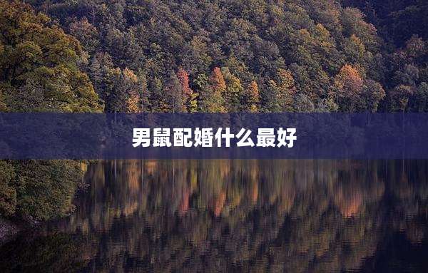 男鼠配婚什么最好