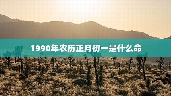 1990年农历正月初一是什么命