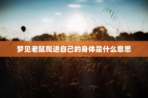 梦见老鼠爬进自己的身体是什么意思
