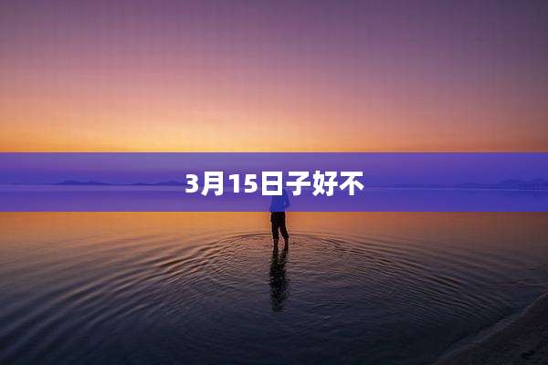 3月15日子好不