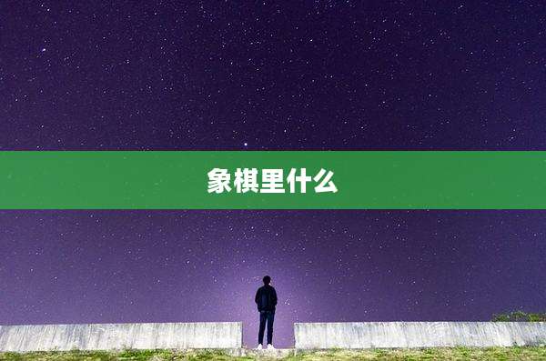 象棋里什么