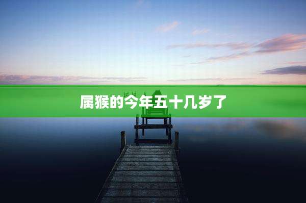 属猴的今年五十几岁了