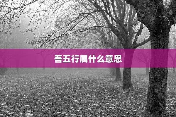 吾五行属什么意思
