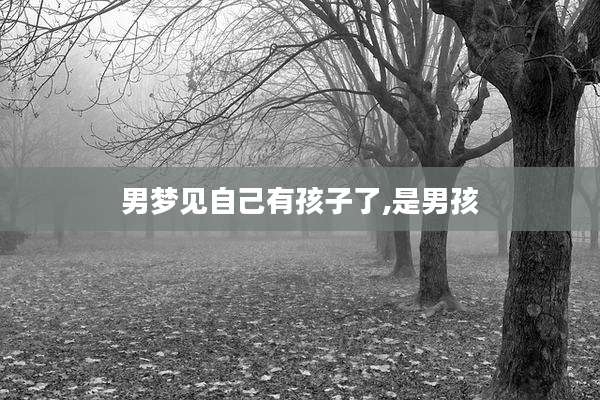 男梦见自己有孩子了,是男孩