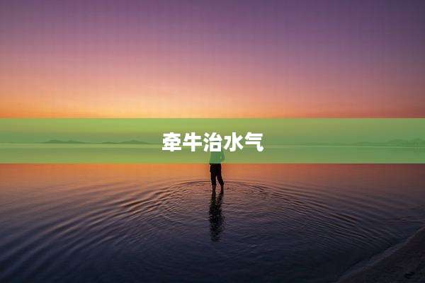 牵牛治水气