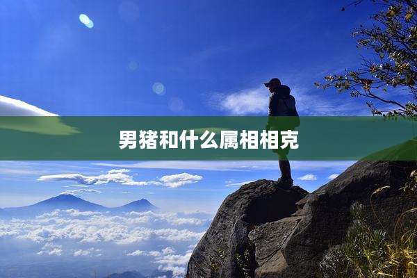 男猪和什么属相相克