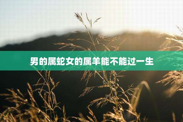男的属蛇女的属羊能不能过一生