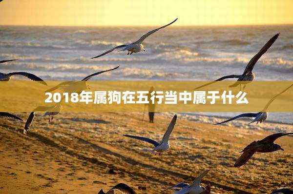 2018年属狗在五行当中属于什么