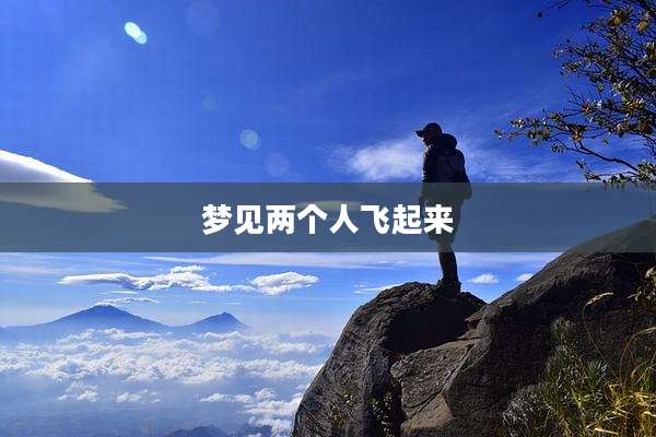 梦见两个人飞起来