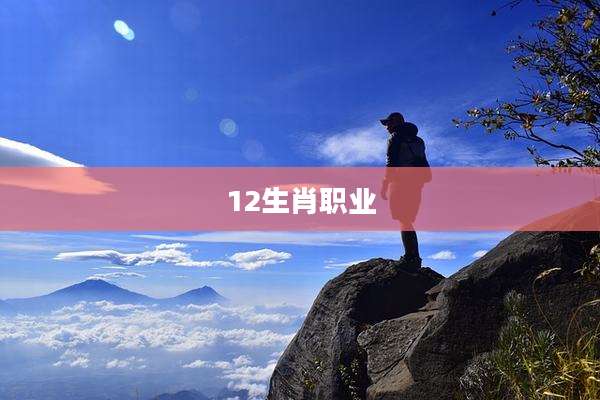 12生肖职业