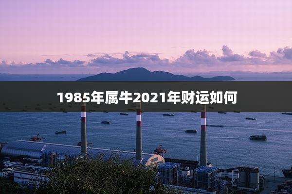 1985年属牛2021年财运如何